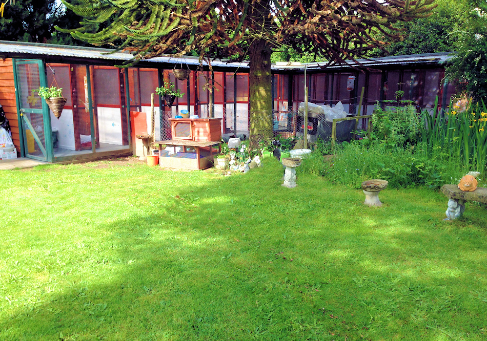 Small Animal Boarding cattery and small animal boarding cattery in